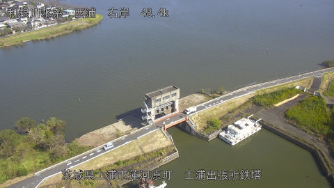 sakura2026102311_image