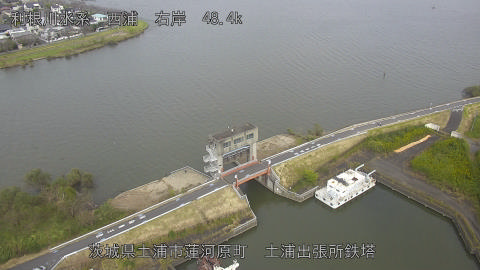 sakura2026102313_image