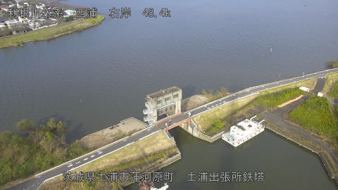 sakura2026102315_image