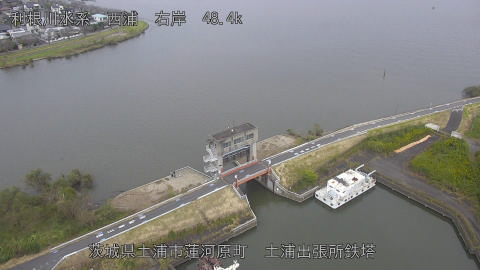 sakura2026102316_image