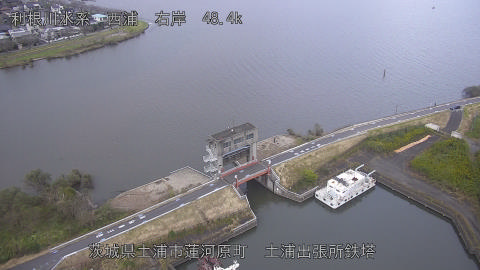 sakura2026102317_image