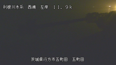 seigan2025082304_image