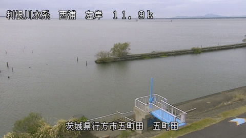 seigan2025110612_image