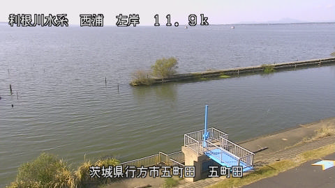 seigan2025110712_image