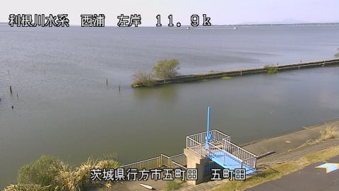 seigan2025110812_image