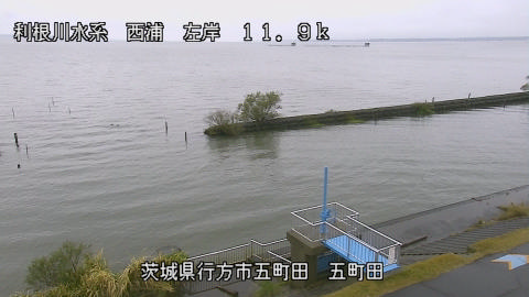 seigan2025110912_image