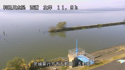 seigan2025111012_image