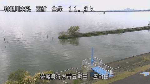 seigan2025111112_image