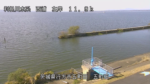 seigan2025111212_image