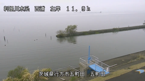 seigan2025111312_image