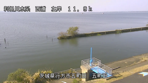 seigan2025111412_image