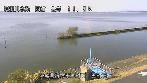 seigan2025111512_image