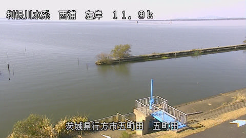 seigan2025111612_image