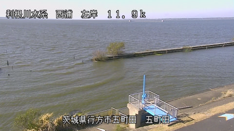 seigan2025111712_image