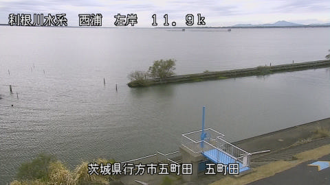 seigan2025111812_image