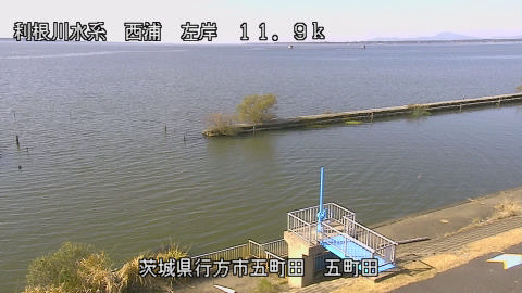 seigan2025111912_image