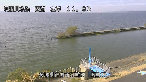 seigan2025112012_image