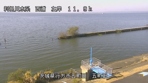 seigan2025112112_image