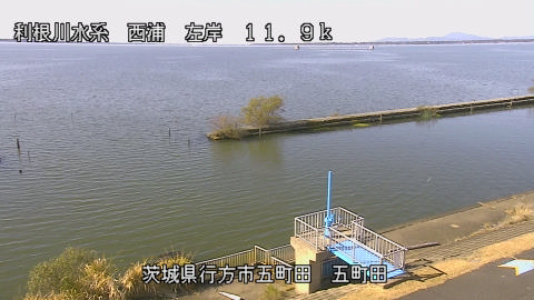 seigan2025112212_image