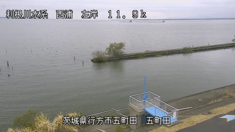 seigan2025112312_image