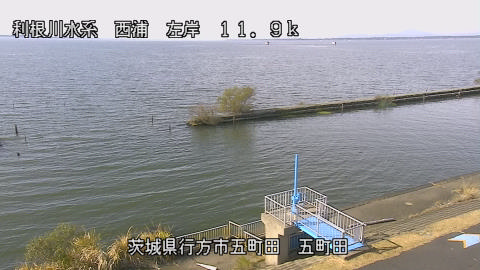 seigan2025112412_image