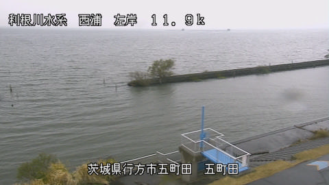 seigan2025112512_image