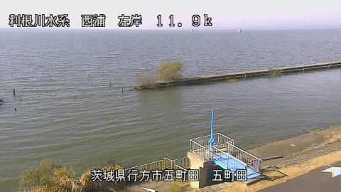 seigan2025112612_image