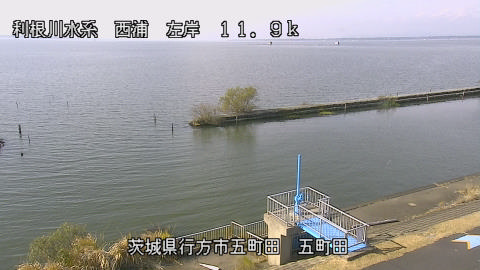 seigan2025112712_image