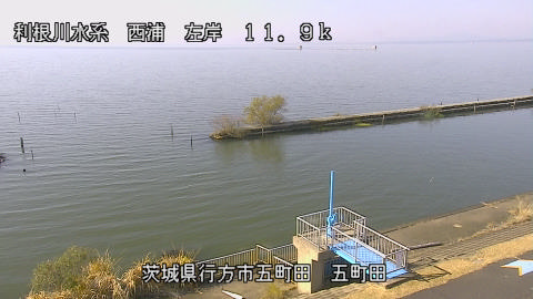 seigan2025112812_image