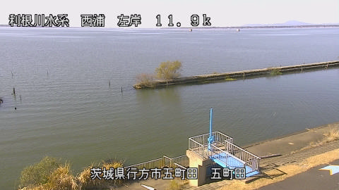 seigan2025112912_image