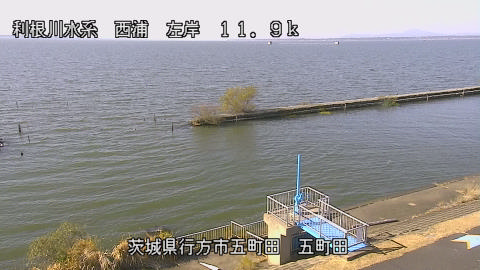 seigan2025113012_image