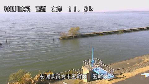 seigan2025120112_image