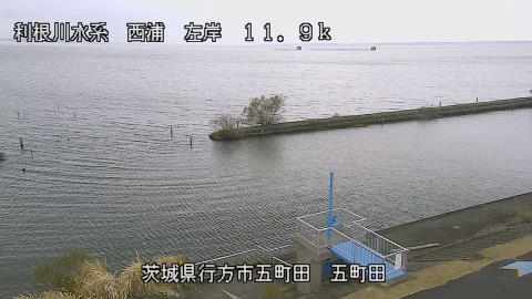 seigan2025120212_image