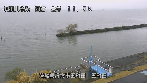 seigan2025120312_image