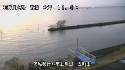 seigan2025120317_image