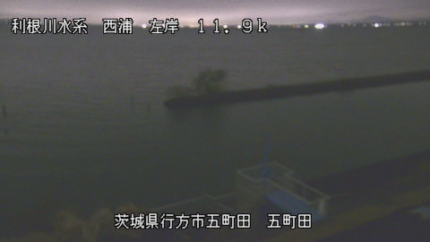 seigan2025120318_image