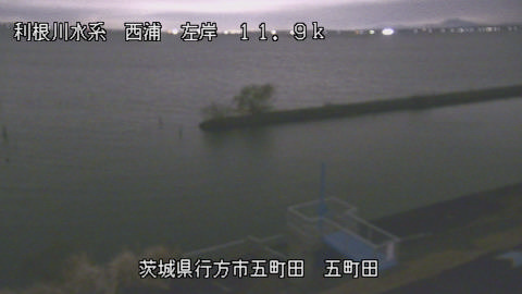 seigan2025120319_image