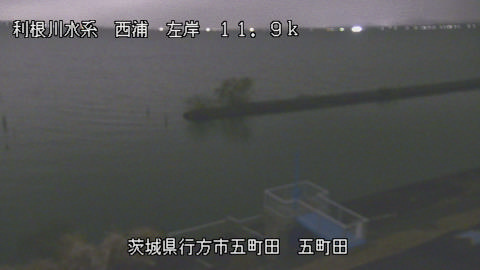 seigan2025120320_image