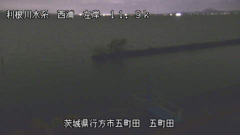 seigan2025120321_image