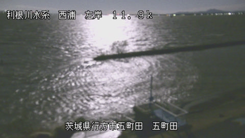 seigan2025120403_image