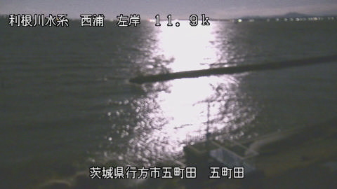 seigan2025120404_image