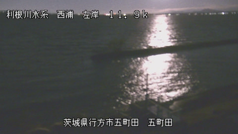 seigan2025120405_image