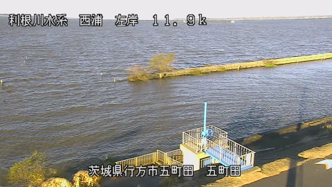 seigan2025120408_image