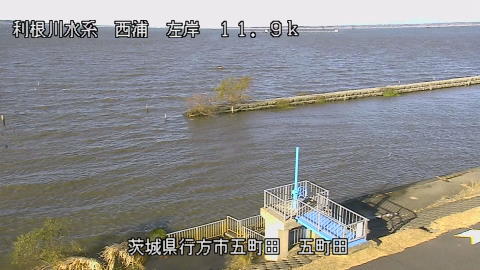 seigan2025120409_image