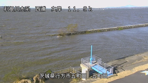 seigan2025120410_image