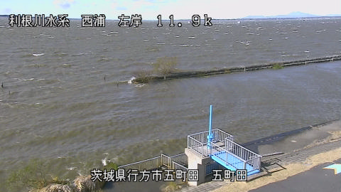 seigan2025120411_image