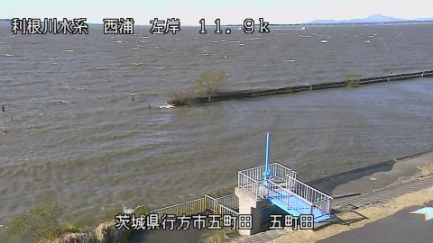 seigan2025120412_image