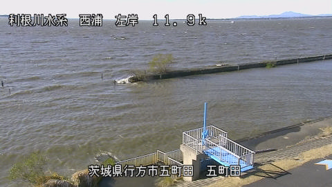 seigan2025120413_image