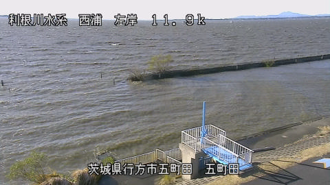 seigan2025120414_image