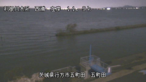 seigan2025120419_image